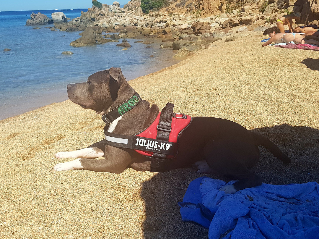 Spiaggia Porto Fido-帕劳必去景点