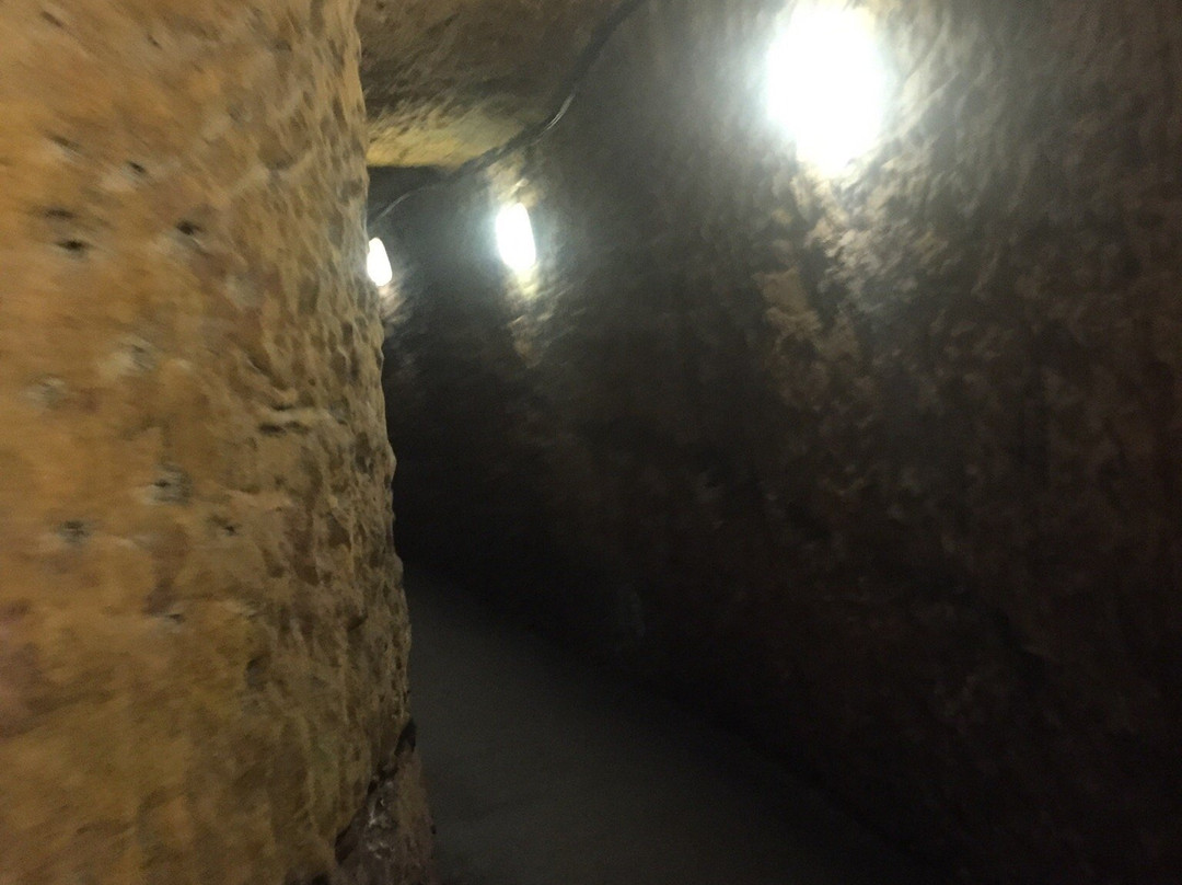 Maison Laudacius - Cave De Montlouis-Dur-Loire景点图片