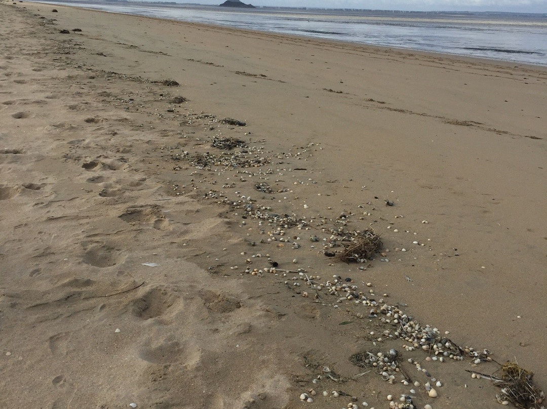 Beach of Genêts景点图片