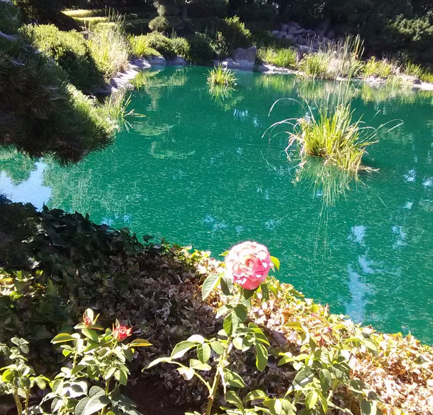 Gekkeikan Sake-佛森必去景点