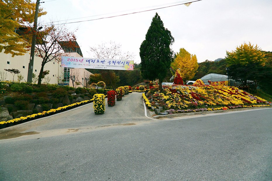 Daecheongho Natural Ecology Center-大田必去景点