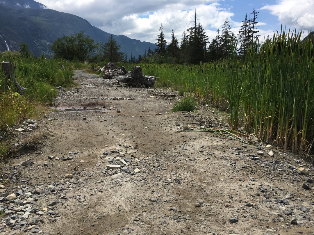 Squamish Estuary景点图片