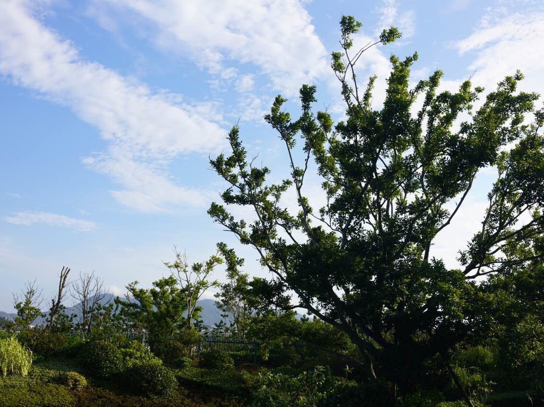 朱家尖绿城威斯汀度假酒店主图