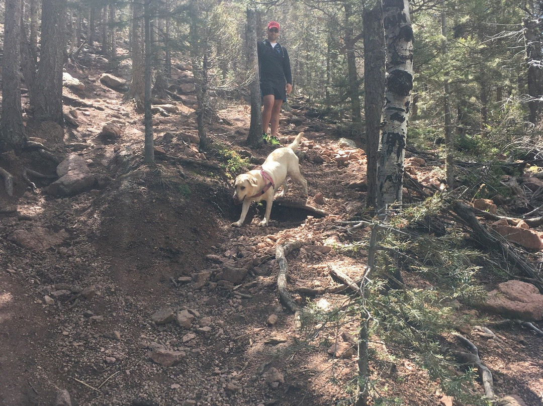 Eagles Peak-科罗拉多斯普林斯必去景点