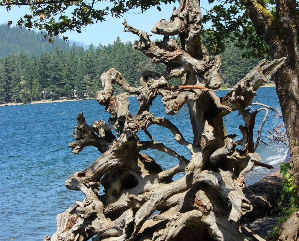 Cultus Lake-奇利瓦克必去景点