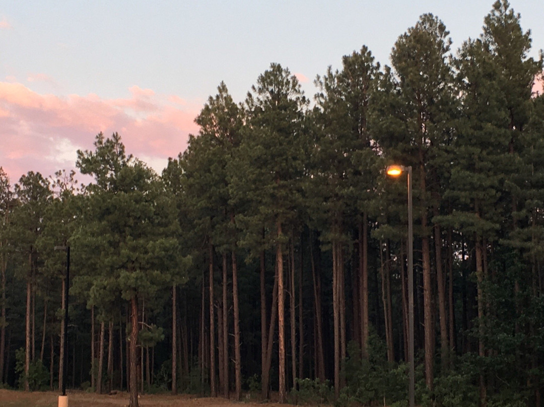 Hon-Dah Resort Hotel主图