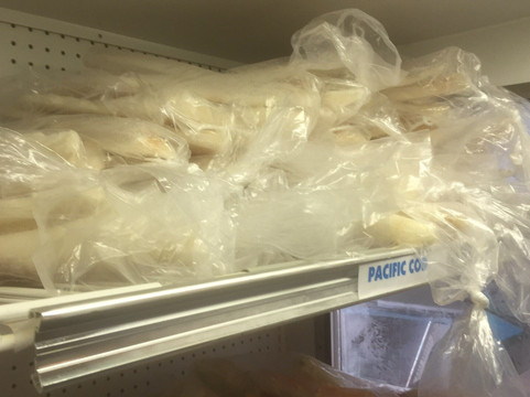 Easy Freeze, Inc-瓦尔迪兹必去景点