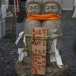 Shinjo-ji Temple-牛久市必去景点