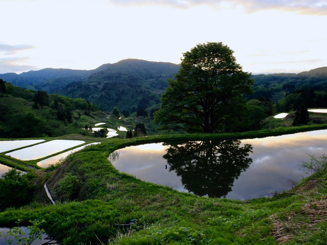 Yamakoshi Rice Terraces-长冈市必去景点
