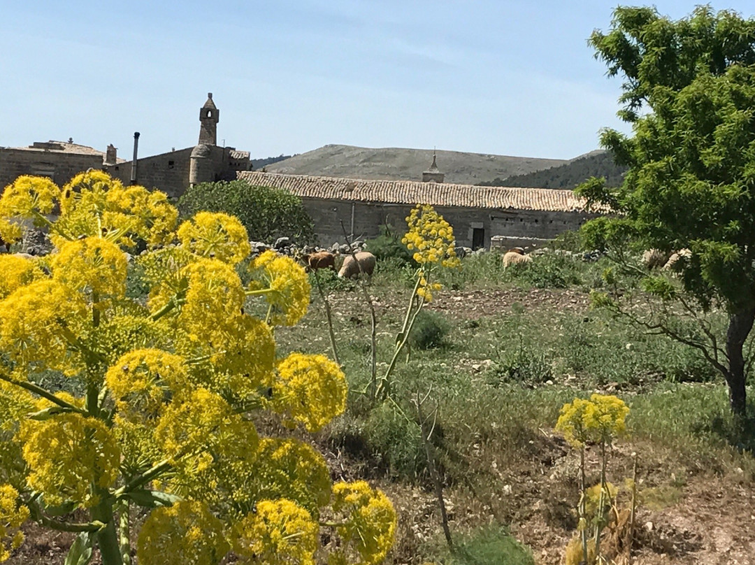 Poggiorsini旅游攻略图片