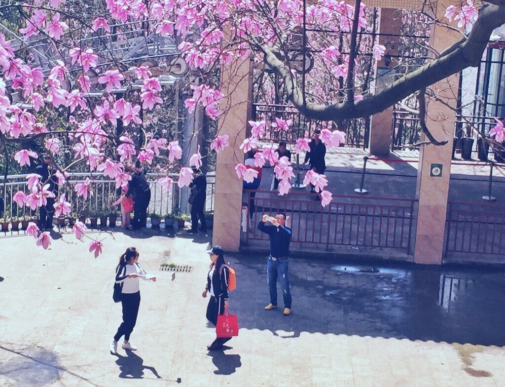药王谷旅游景区景点图片