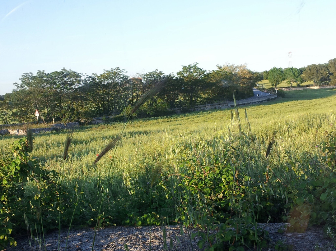 诺奇旅游攻略图片