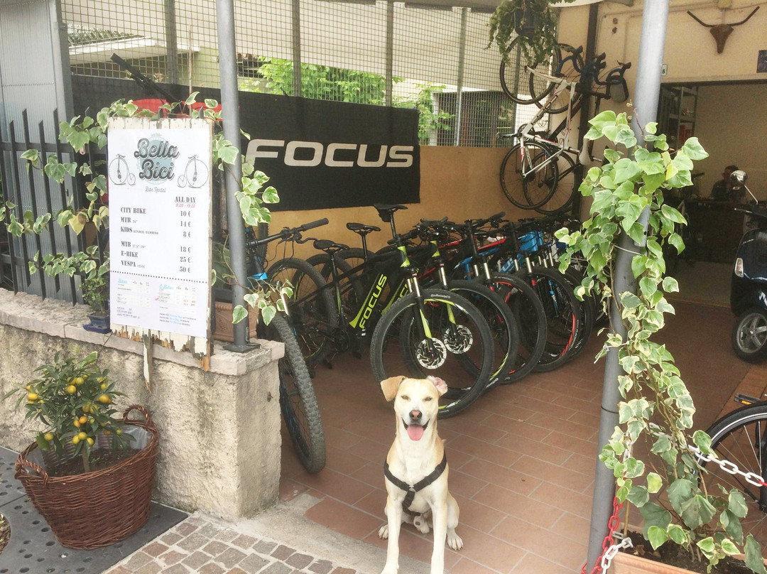 Bella Bici - Bike & Vespa Rental景点图片