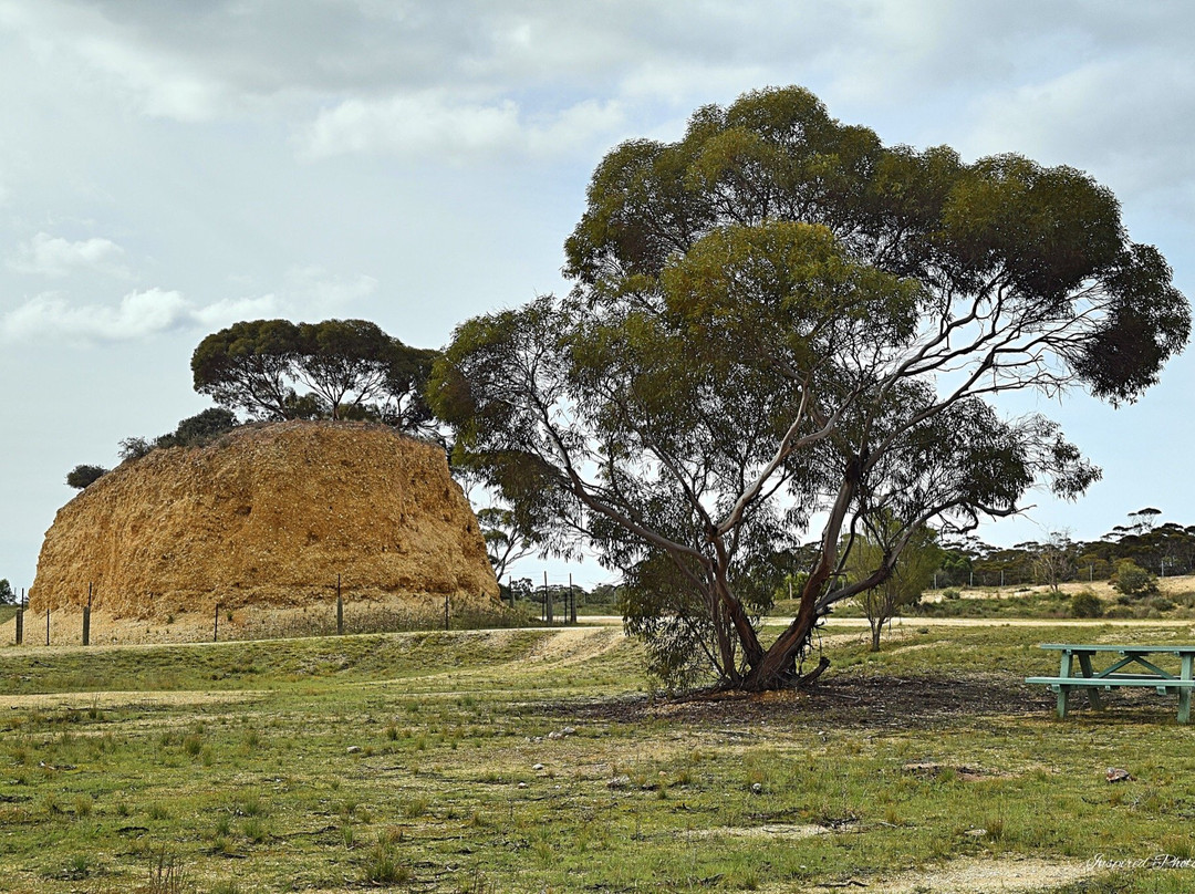 Walker Flat旅游景点-Shell Hill