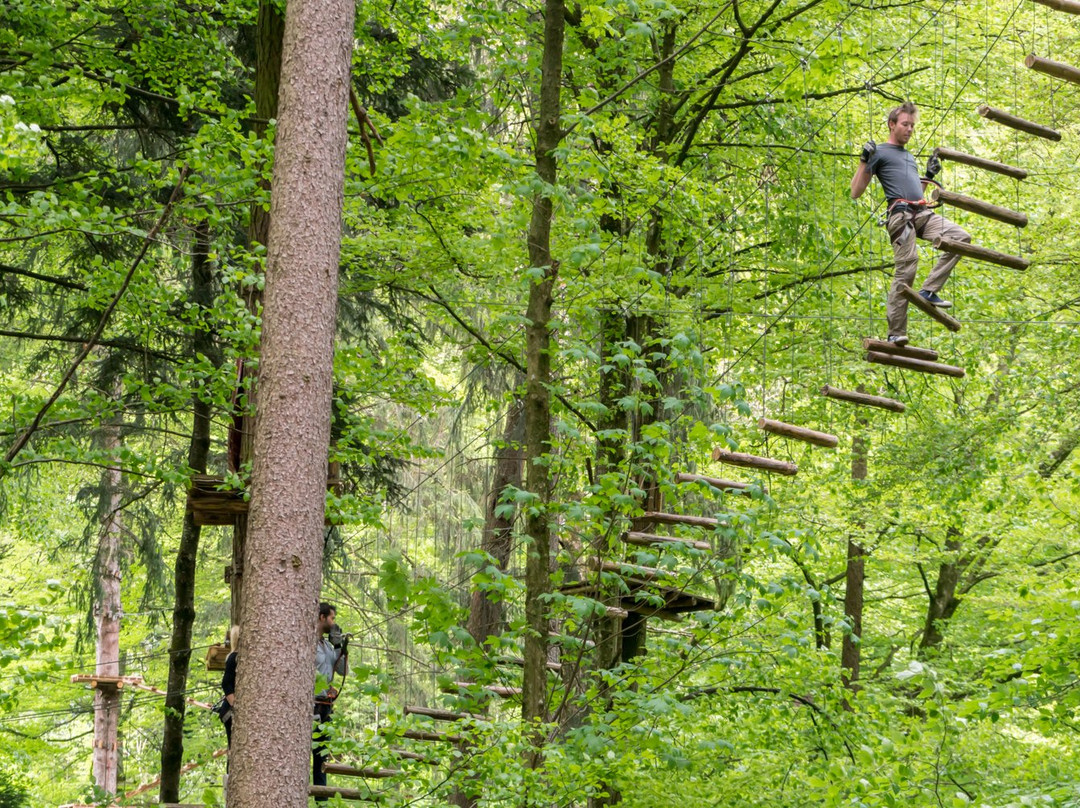 OUTDOOR - Interlaken Ropes Park景点图片