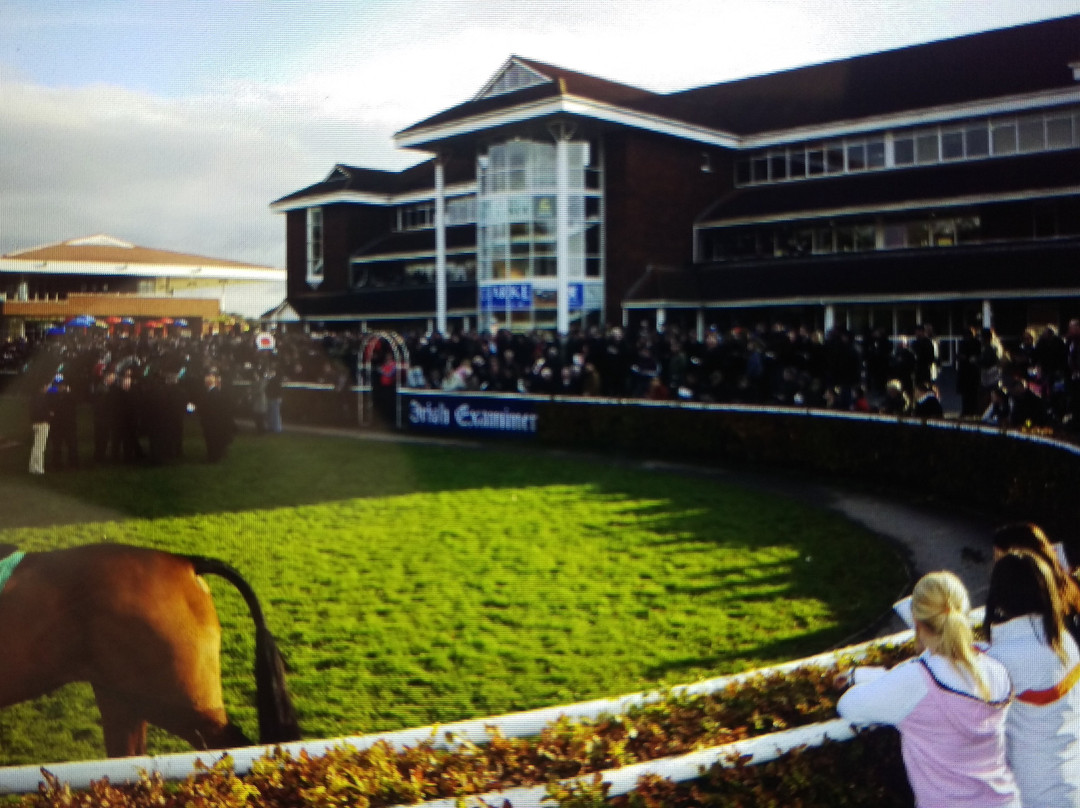 Cork Racecourse Mallow-Mallow必去景点