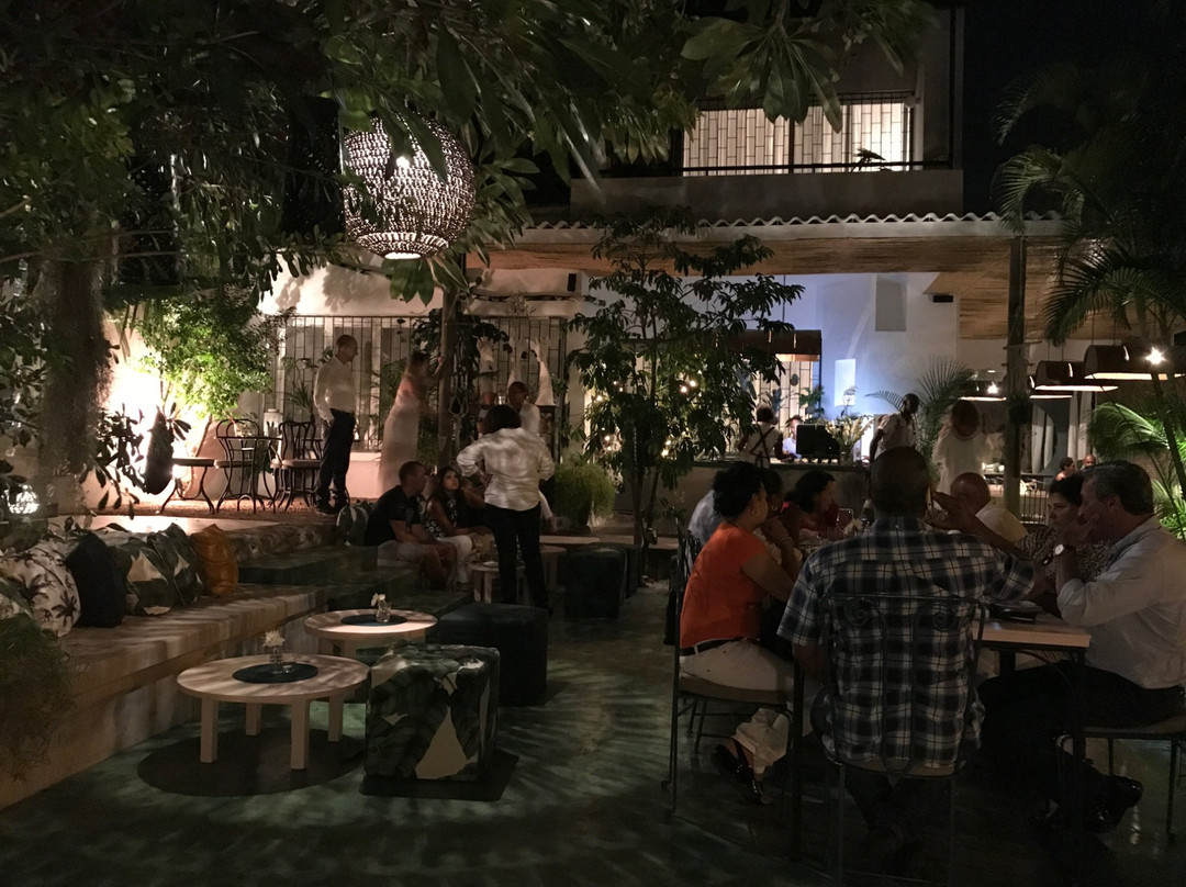 马布多餐馆和美食-Botanica