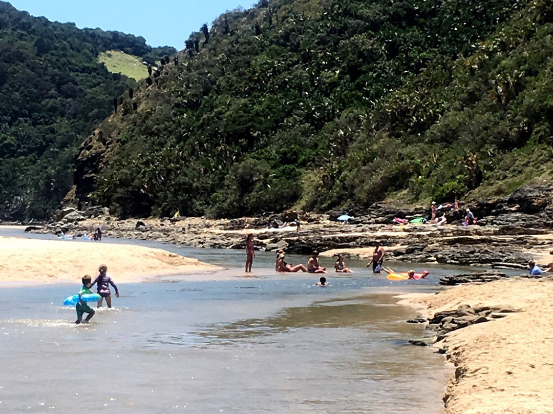 Double Mouth Nature Reserve-Morgan's Bay必去景点