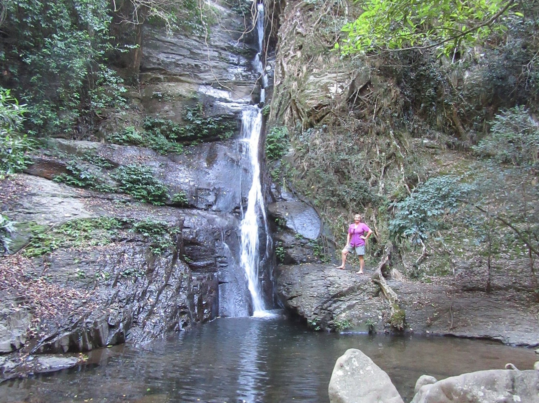 Macquarie Pass National Park景点图片