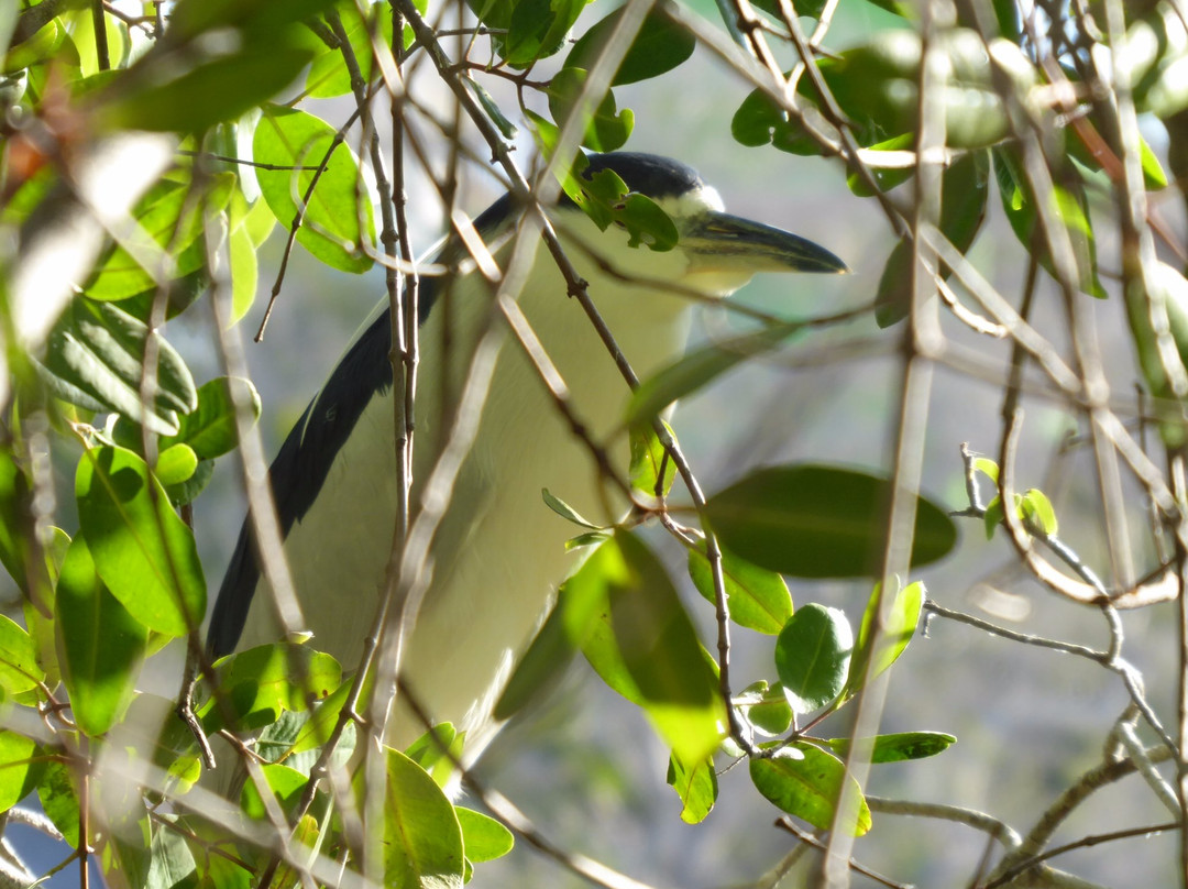 Estero Del Yugo-马萨特兰必去景点