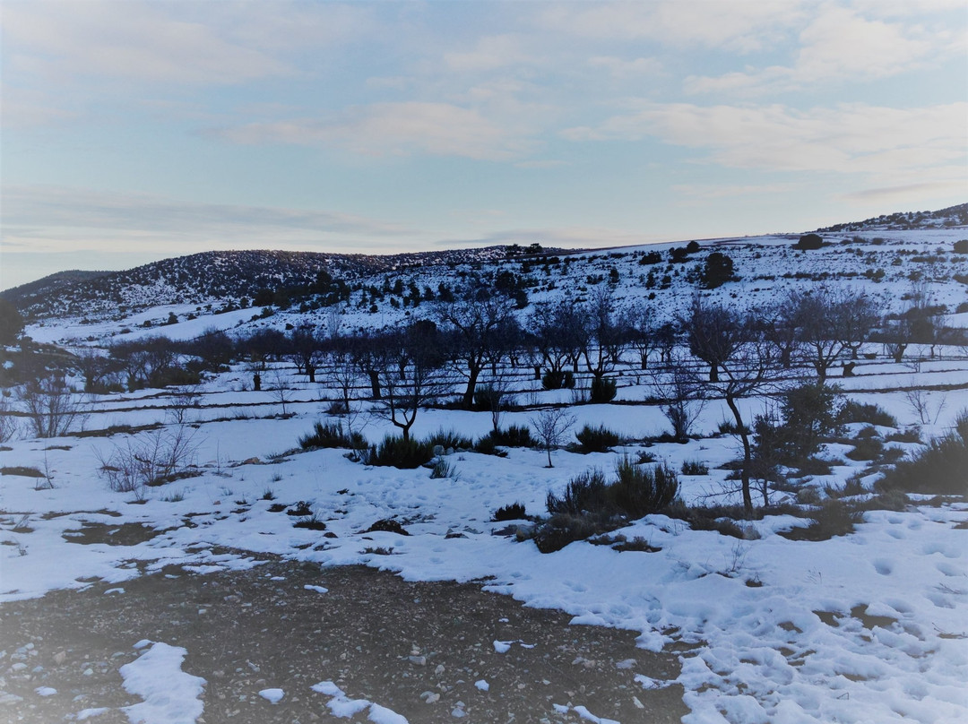 Inazares旅游攻略图片