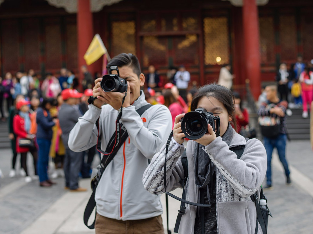 Catherine Lu Tours Xi'an-西安市必去景点