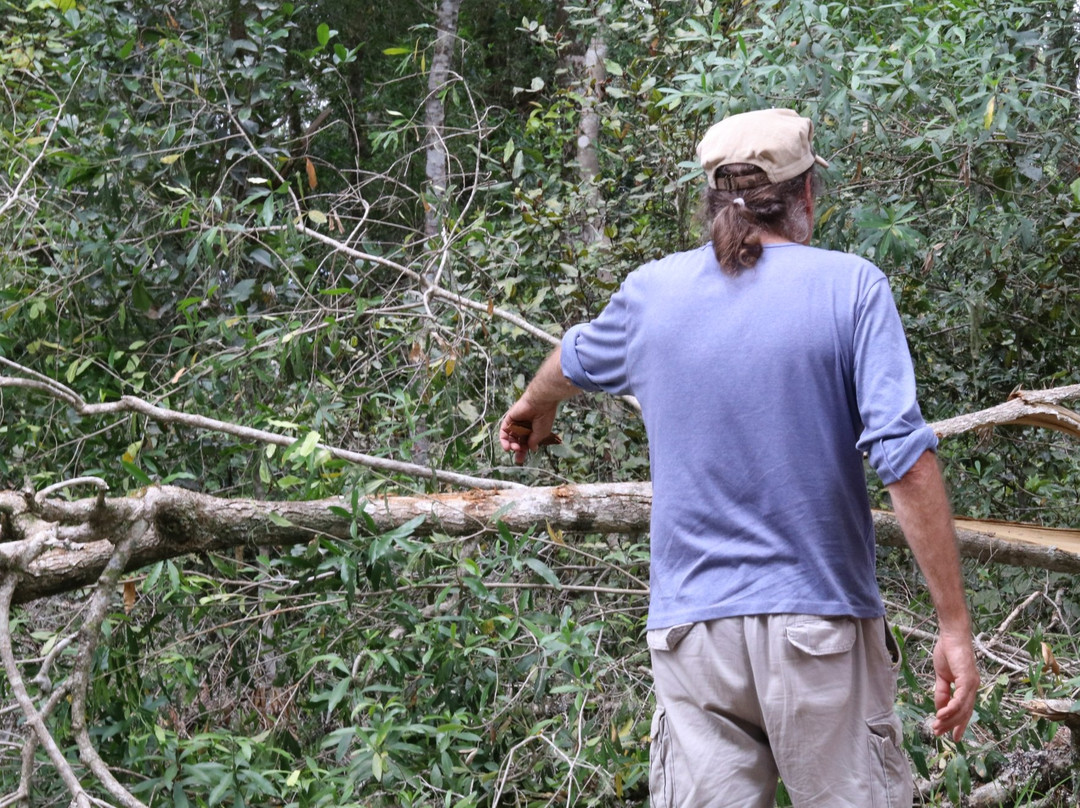 Elephant Walk-克尼斯纳必去景点
