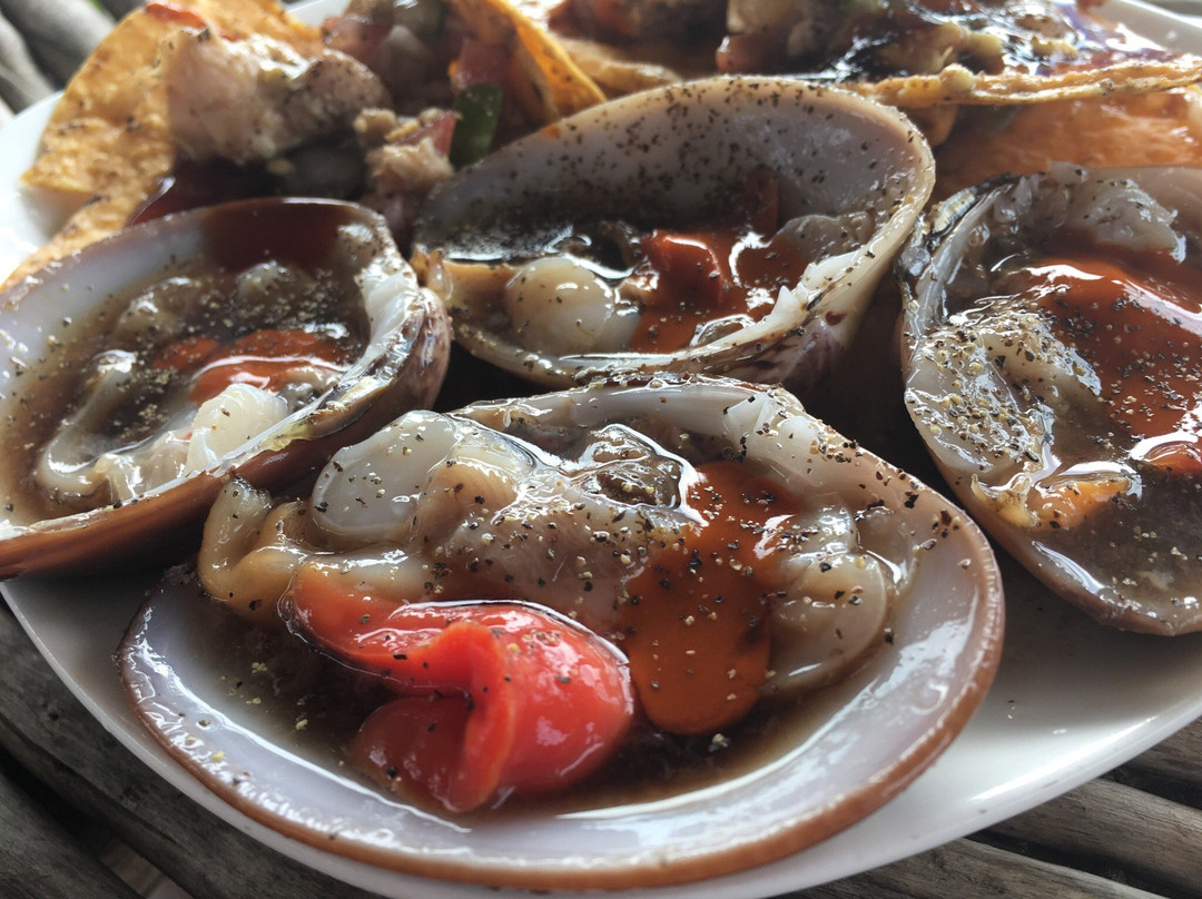 Art and Beer-佩斯卡德罗必去景点