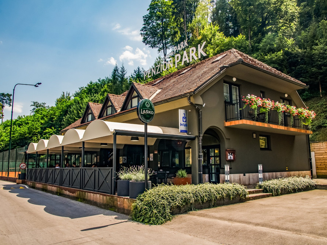 Rimske Toplice酒店住宿-Penzion Park