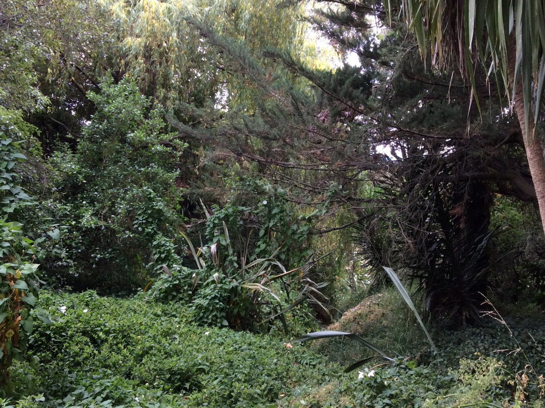 Palmbrook Reserve景点图片