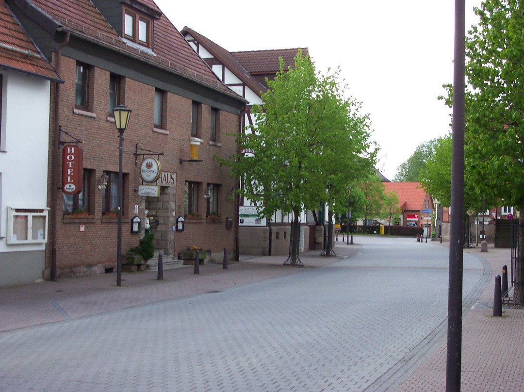 Hotel Am Dreienberg主图