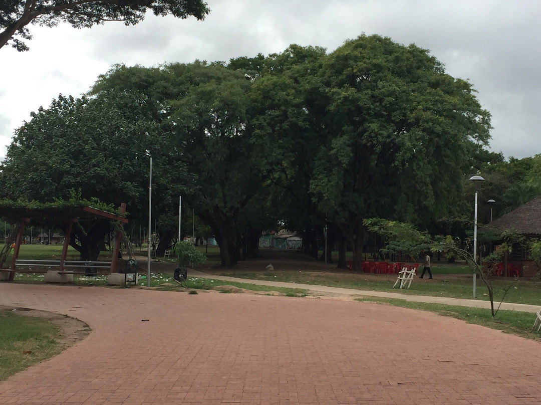 Parque Urbano Central-圣克鲁斯省必去景点