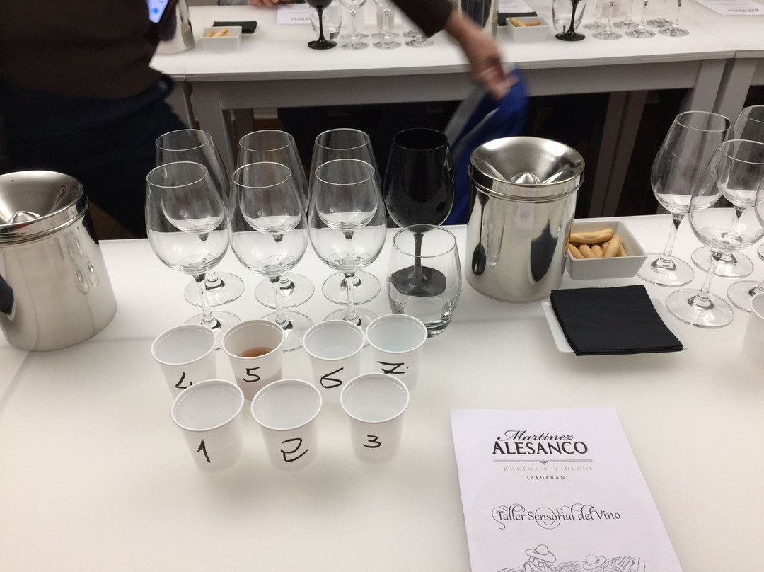 Bodegas Martinez Alesanco-Badaran必去景点