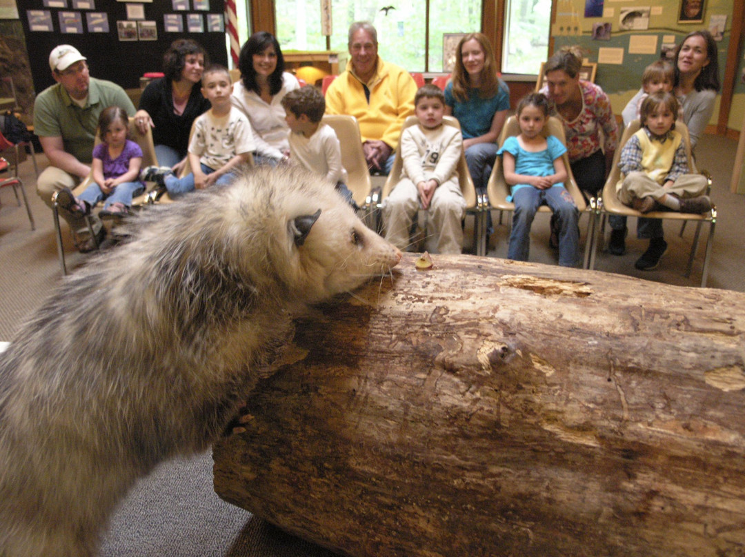 Hudson Highlands Nature Museum景点图片