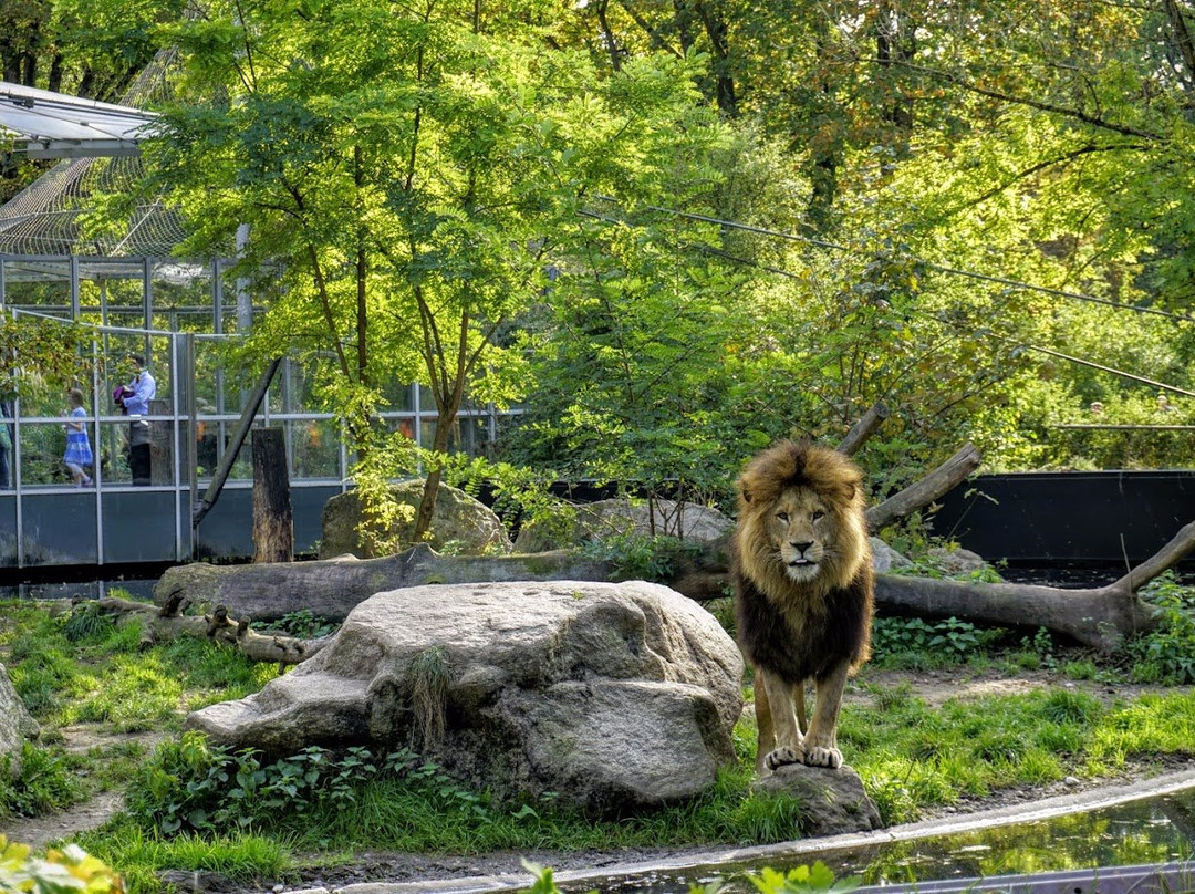 慕尼黑动物园-慕尼黑必去景点