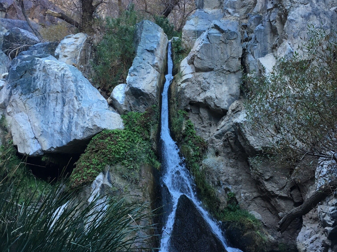 Darwin Falls-死亡谷国家公园必去景点