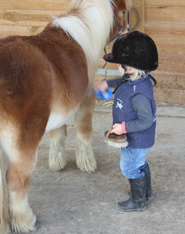 Poney Club de Combourg景点图片