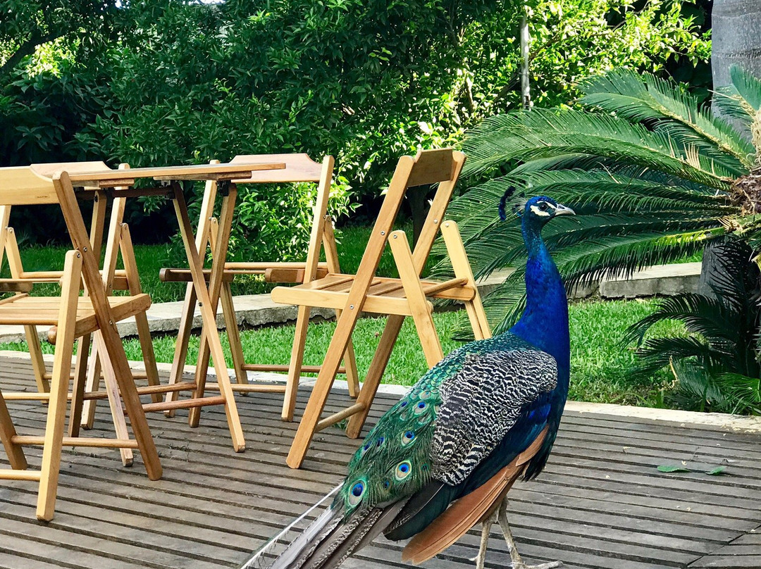 ROSA CORTIANA Escalera主图