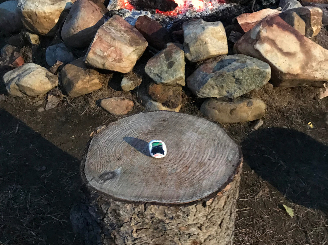 Coleman's Christmas Tree Farm-Middletown必去景点