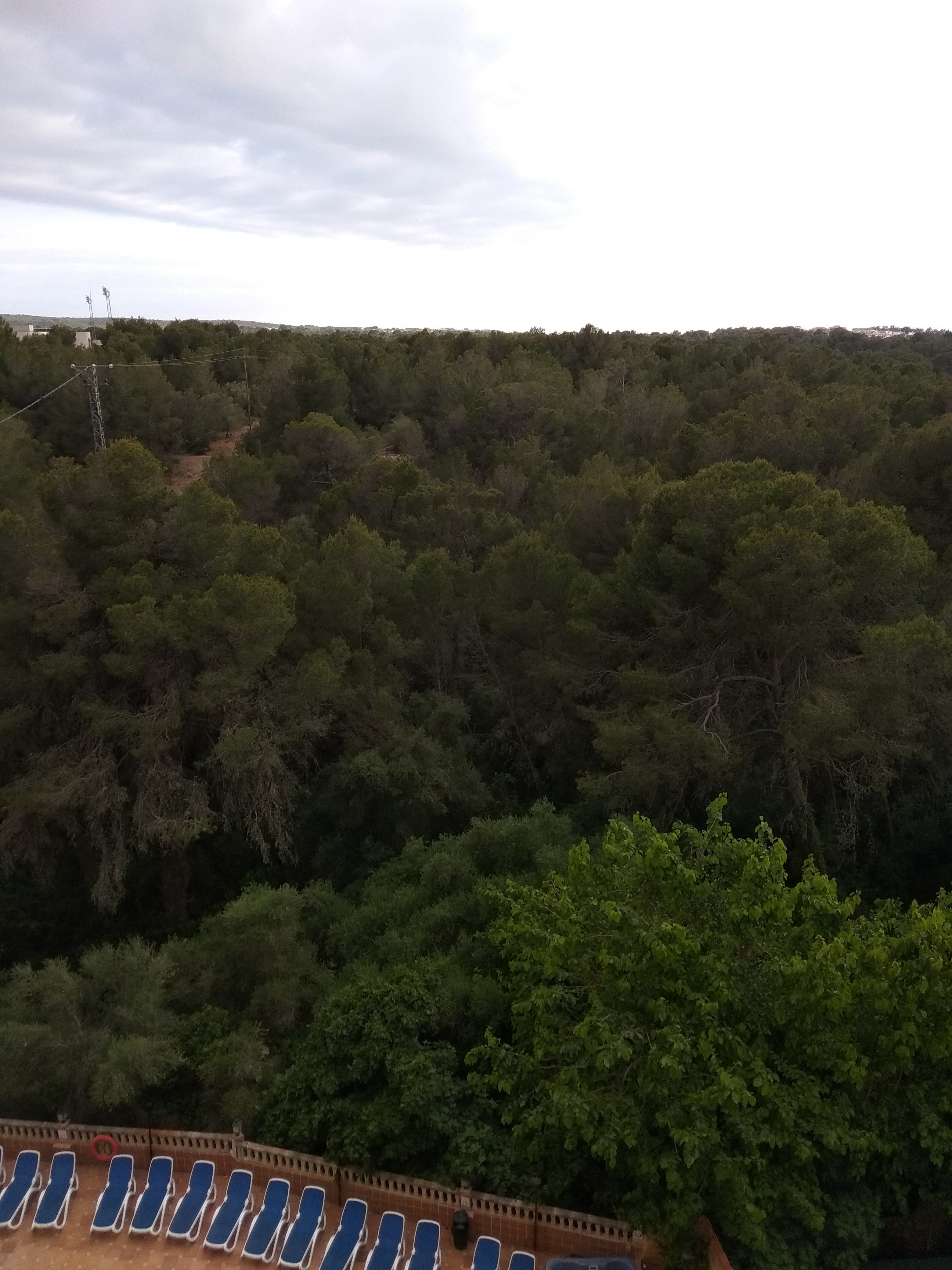 马瑙斯酒店-酒店景观