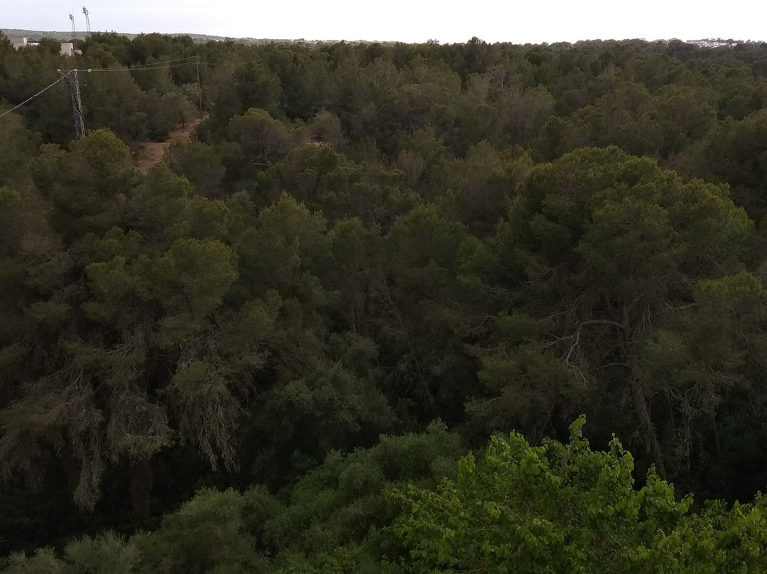 马瑙斯酒店主图