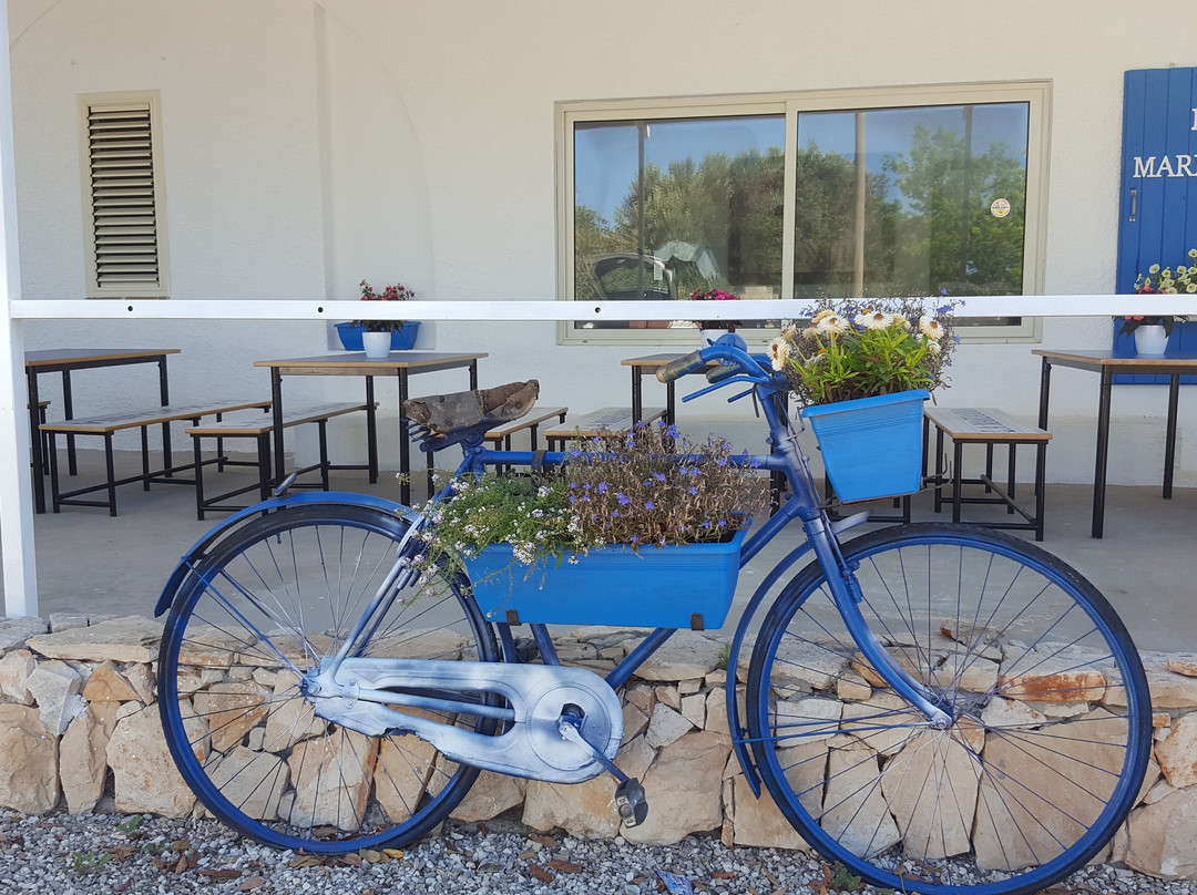 B&B La Marianna主图