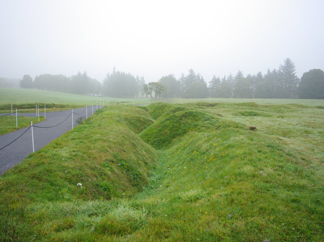 Cobbers Battlefield Tours景点图片