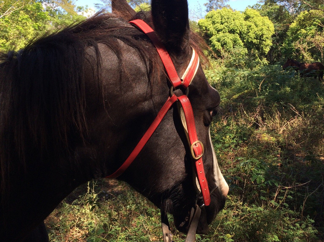 Pocquereux Randonnées-La Foa必去景点
