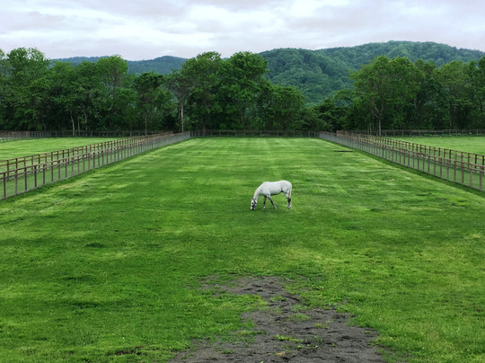Big Red Farm-新冠町必去景点
