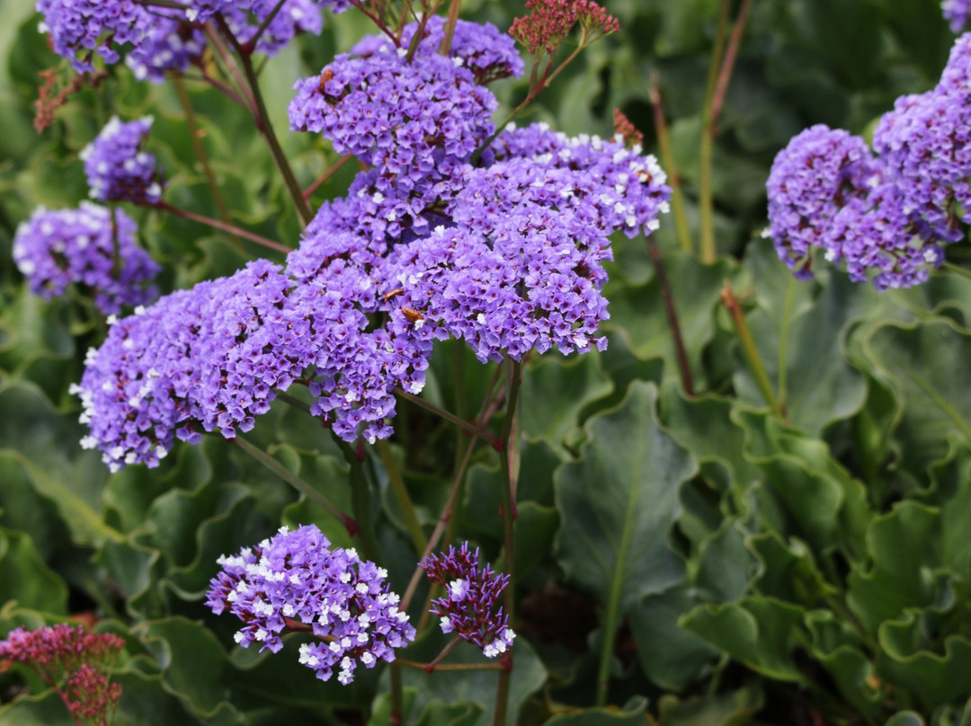 Kwaaiwater-赫曼努斯必去景点