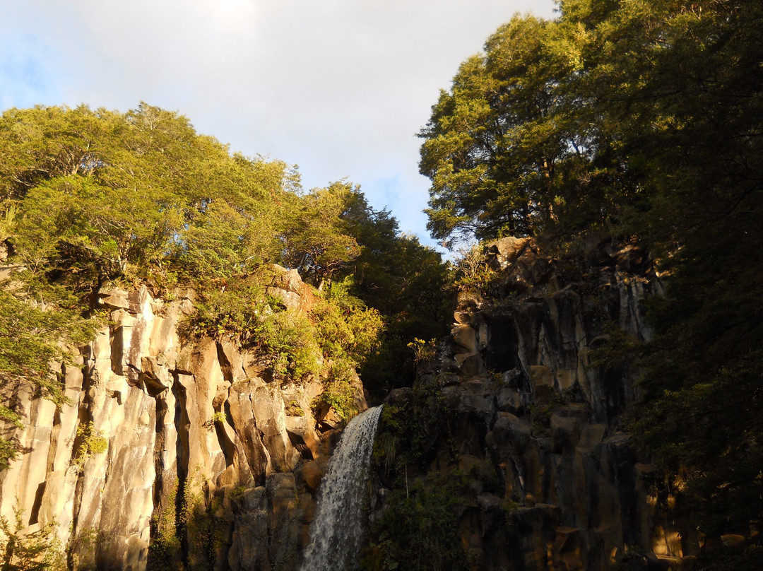 Araucania Region旅游景点-Salto de la Princesa