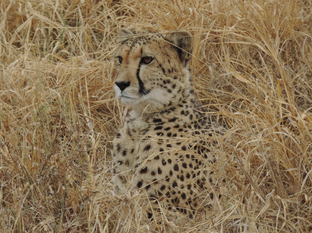 Sondela Rehab Centre Bela Bela-贝拉贝拉必去景点