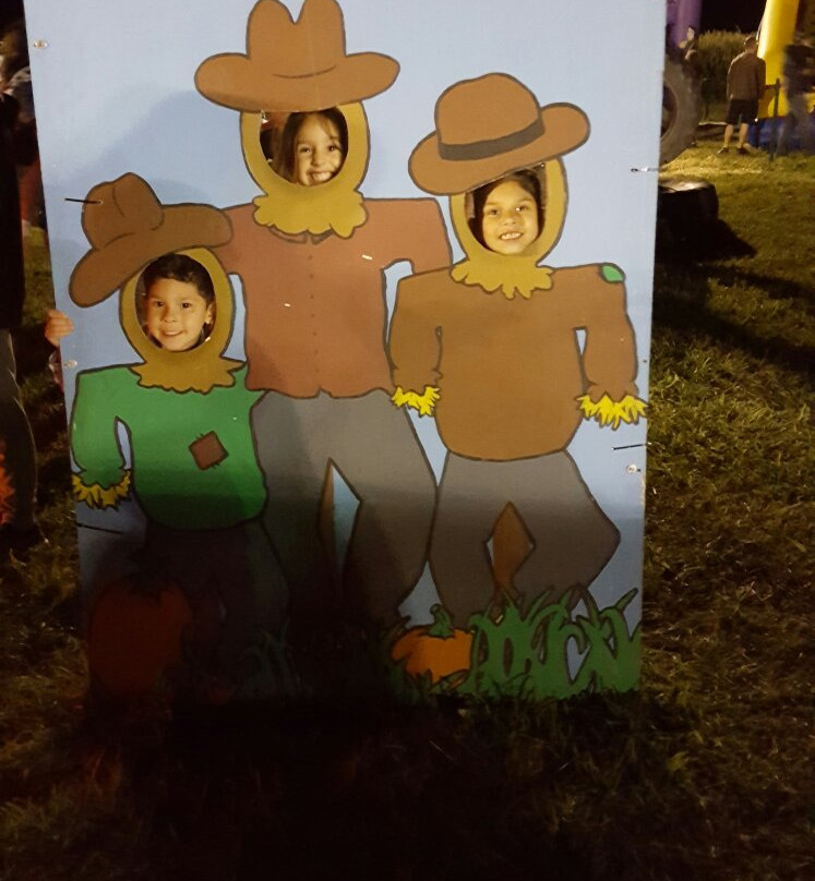 Linder Farms-默里迪恩必去景点