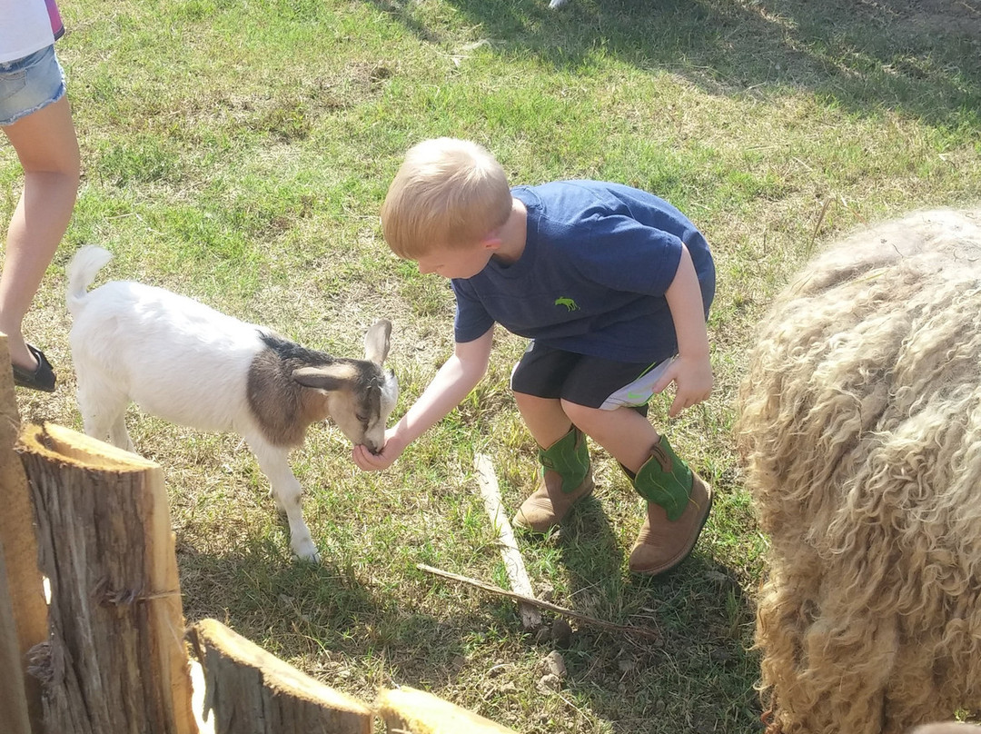 Coble Highland Ranch and Zoo-Henryetta必去景点